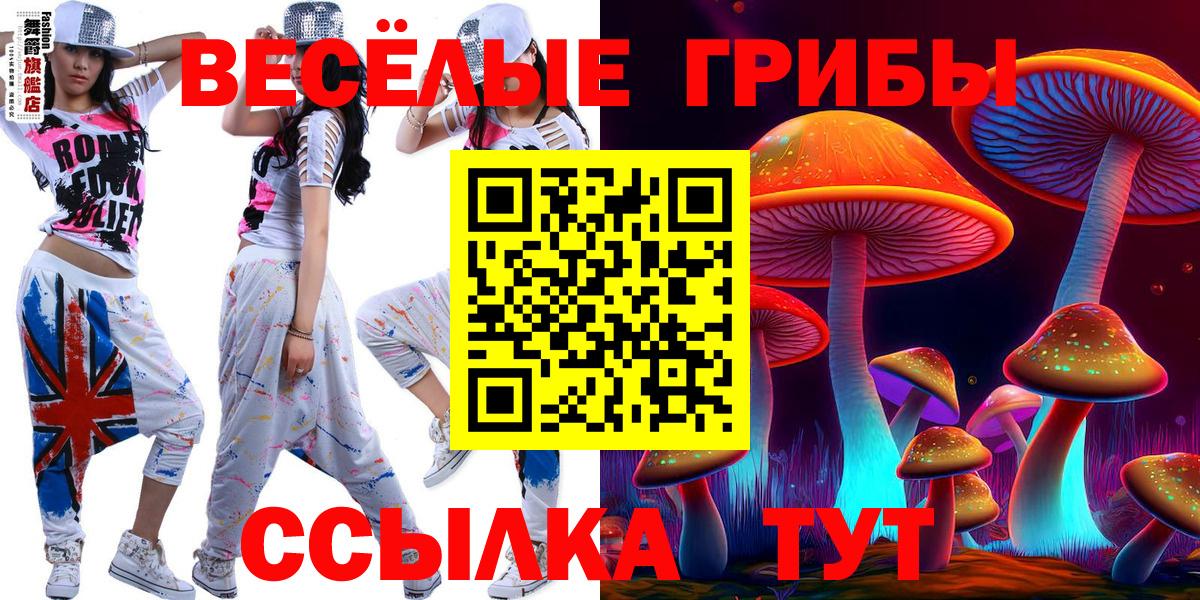 Псилоцибиновые грибы Psilocybe  Вход с VPN  Клинцы  Псилоцибиновые грибы ЛСД 