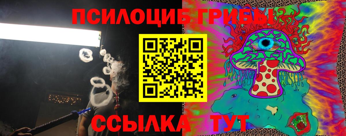 Псилоцибиновые грибы мицелий Клинцы